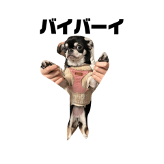 hinaaaaa_20260316232208