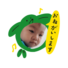 kohe_20260317121730