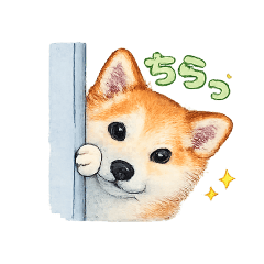 wagamamapoo_20260316214849