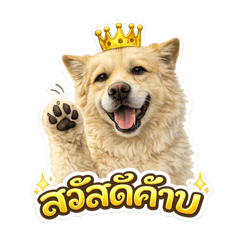 Toto is here!