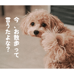 Ela_20260316231005