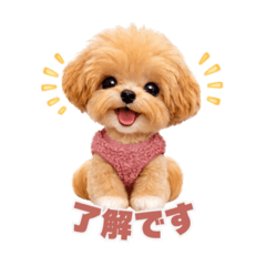 khr03183910_20260317133833