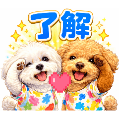 maron & baron_20260317091711