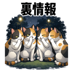 Iyashidokoro Neko House | Hiro's Stocks