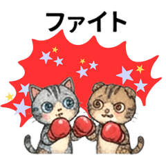 Everyday Quilty Cat Pairs