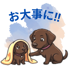 Warm Choco Lab Duo: Daily Greetings