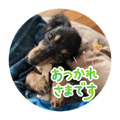 chabin_20260317102213