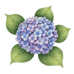 Kelly and Magenta._20260313220618