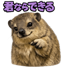 Anime-kawaii_Rock hyrax1