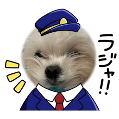 K_20260317145410