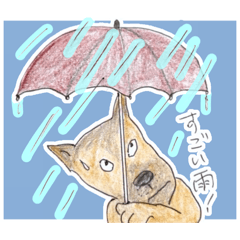 azisai_20260317121555