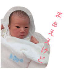 taikikku_20260317141658