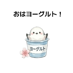 it's a small bird_20260317125608