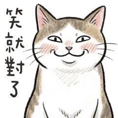 手帳風貓貓❤️尷尬又失禮貌的微笑
