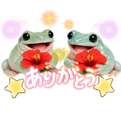 tonpi_20260317123353