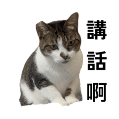 比比&粒粒&大肥