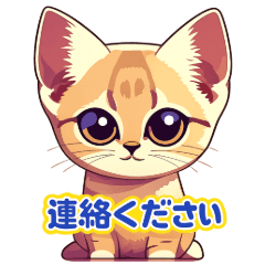 The Sand Cat's Polite Greeting