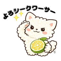 shirofuwa-neko dajare