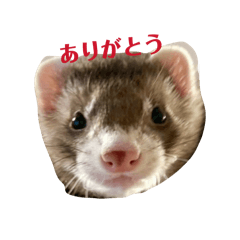 i love itachi_20260314152457