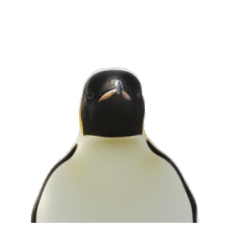 PenguinMaker_20260314155112