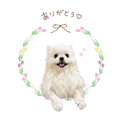 hikhimmama_20260317223420