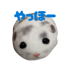 yukidaruma_20260313231446