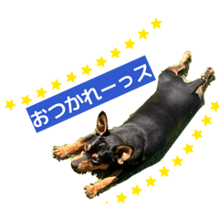 minmin_20260314155720