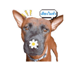 June2208_20260317184000