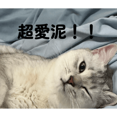 MUMU窩