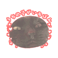 bakuro_20260317143220