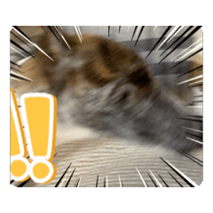 aokiti_20260317185451