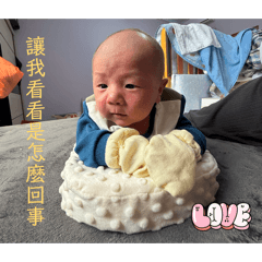 小牛奶的日常❤️