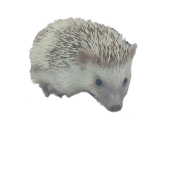 chiba_20260317172158