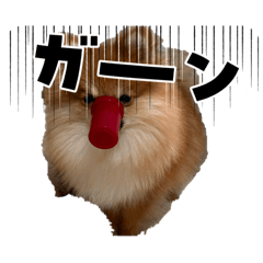 aruka_20260317172624