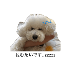 menkoro_20260317205226