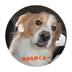 momomax_20260317205110