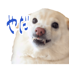 Michiko Hayashida_20260317204218