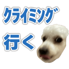momo_20260317172453