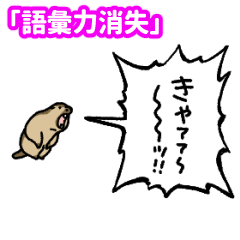 yelling marmot "No words"