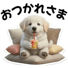 Year-Round Fun Great Pyrenees Puppy Life