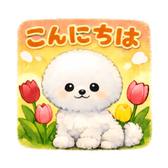 Fluffy Bichon Puppy Greetings 40 spring