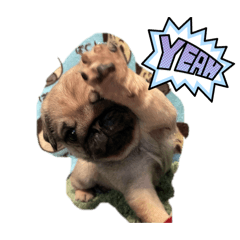 自己満のスタンプです