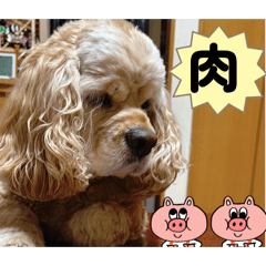 Atsuko_20260317213144