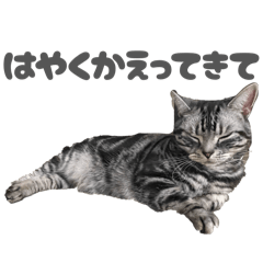 Rei_20260317221554