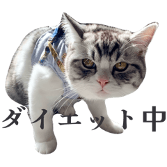 OGURA_20260317221651