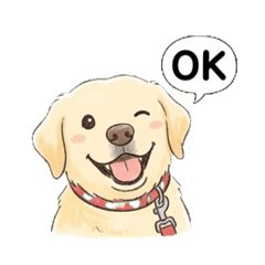 ラブラドールのむぎちゃん