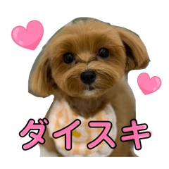 looey_20260317222105