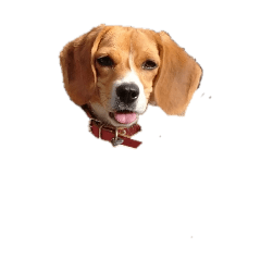 withL_20260317221739