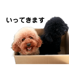 SAKUMA_20260317222347