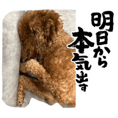 namizou_20260317222657